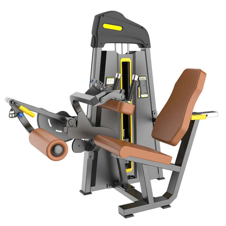 Seated Leg Curl And Extension Machine factory